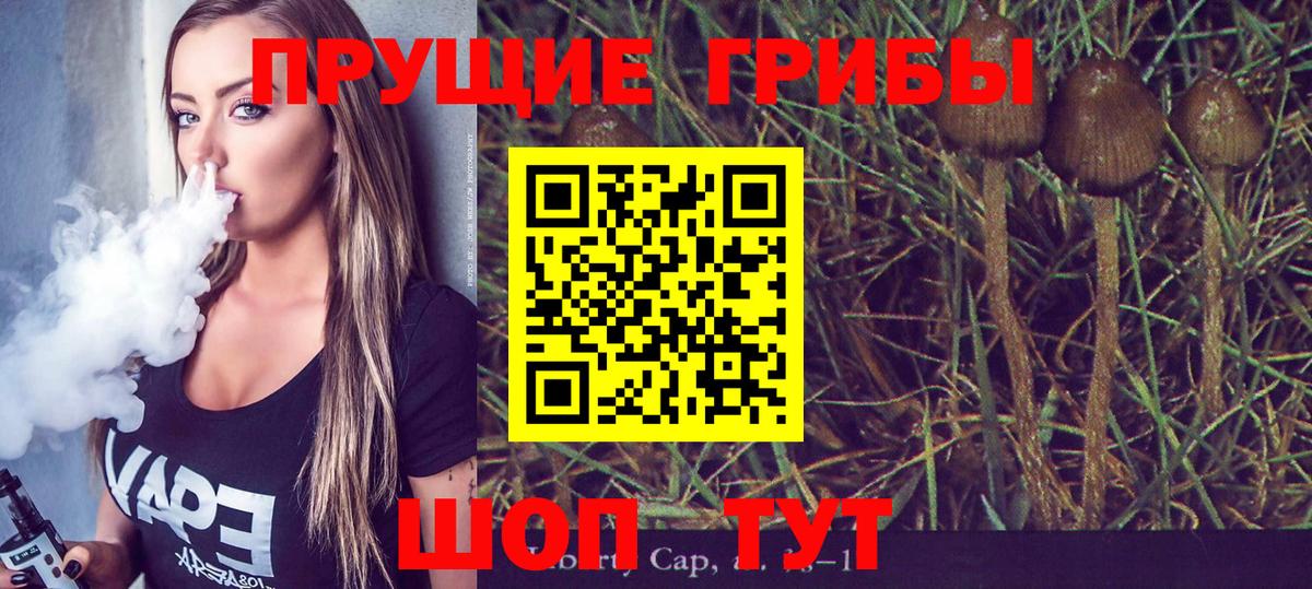 Гулькевичи  Псилоцибиновые грибы MAGIC MUSHROOMS  Вход с VPN 